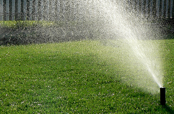 Lawn Watering Tips